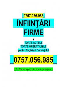 INFIINTARI FIRME